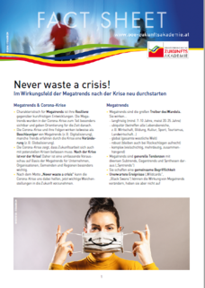 factsheet_never waste a crisis_2020