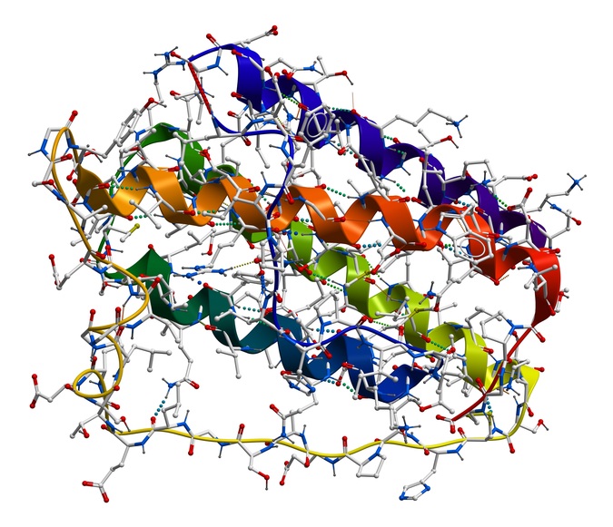 Proteinstruktur