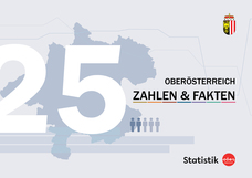 Titelbild Broschüre Zahlen und Fakten 2025