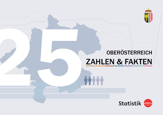 Titelbild Broschüre Zahlen und Fakten 2025